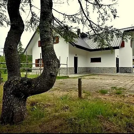 Le Ville Di Villaggio Palumbo Villa Casa Pasquale