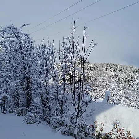 Le Ville Di Villaggio Palumbo Villa *