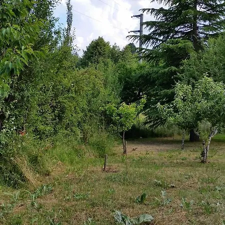 Le Ville Di Villaggio Palumbo